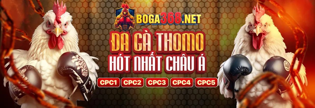 Đá gà trực tuyến kinh88