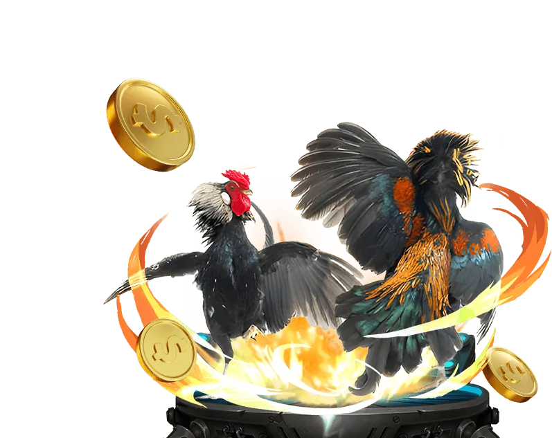 Trường Gà Thomo trực tuyến kinh88