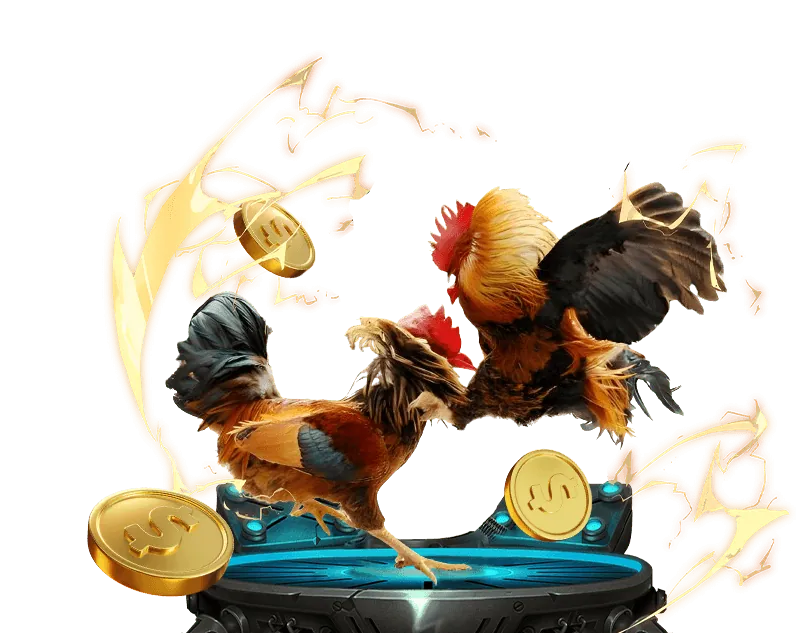 Sảnh Đá Gà SV388 tại kinh88